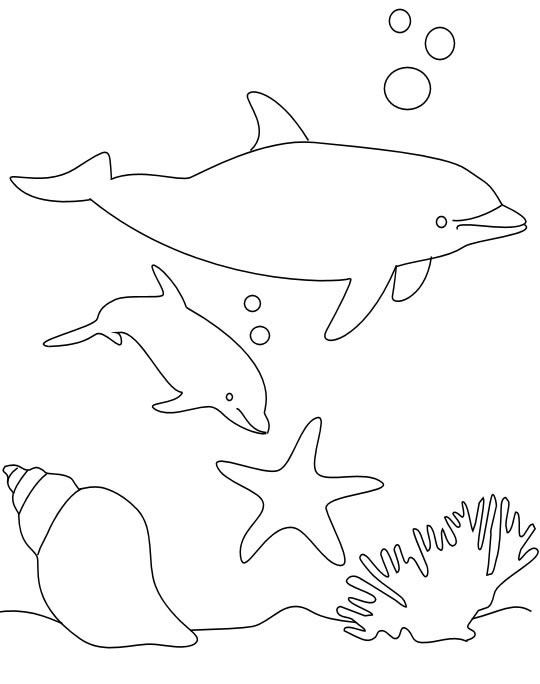 Coloring page: Dolphin (Animals) #5106 - Free Printable Coloring Pages