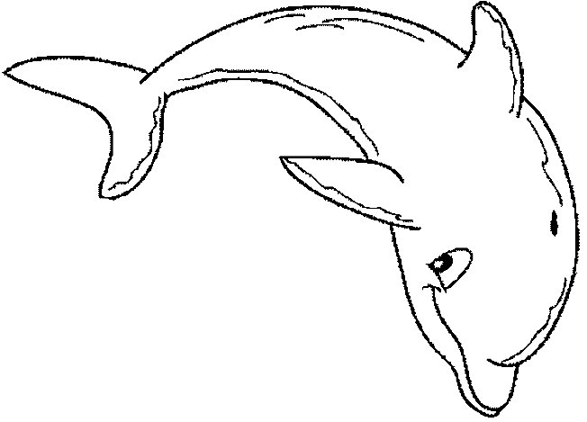 Coloring page: Dolphin (Animals) #5112 - Free Printable Coloring Pages