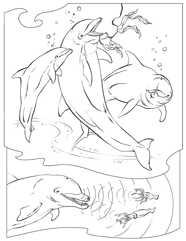 Coloring page: Dolphin (Animals) #5121 - Free Printable Coloring Pages