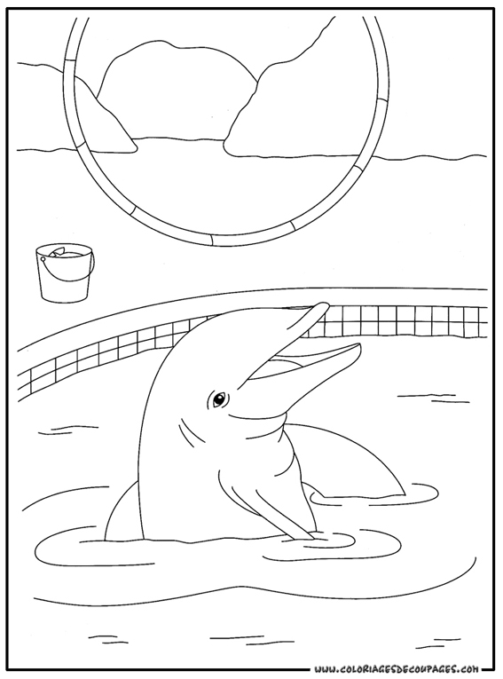 Coloring page: Dolphin (Animals) #5122 - Free Printable Coloring Pages