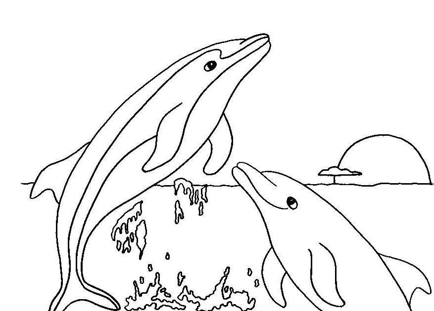 Coloring page: Dolphin (Animals) #5128 - Free Printable Coloring Pages