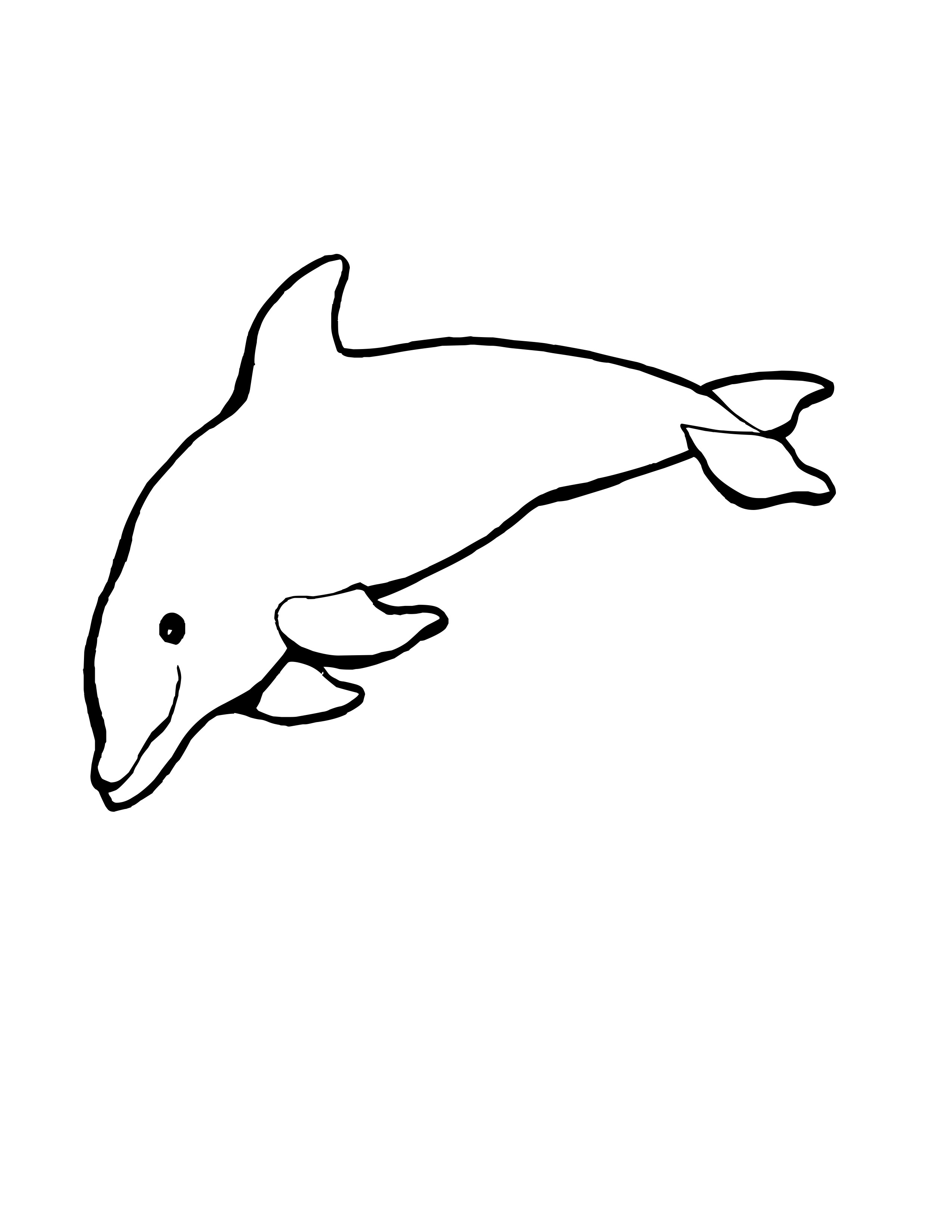 Dolphin Coloring Page Colored Illustration Colouring Jump Wildlife Vector,  Rat Drawing, Ring Drawing, Dolphin Drawing PNG and Vector with Transparent  Background for Free Download