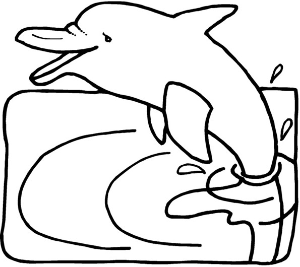 Coloring page: Dolphin (Animals) #5144 - Free Printable Coloring Pages