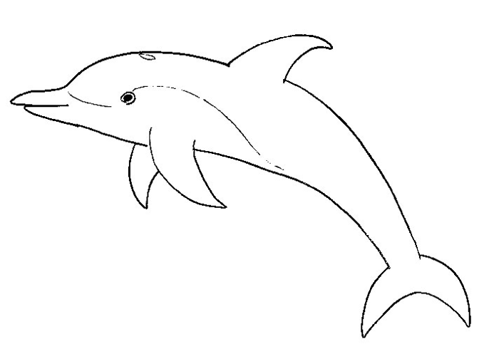 Coloring page: Dolphin (Animals) #5145 - Free Printable Coloring Pages