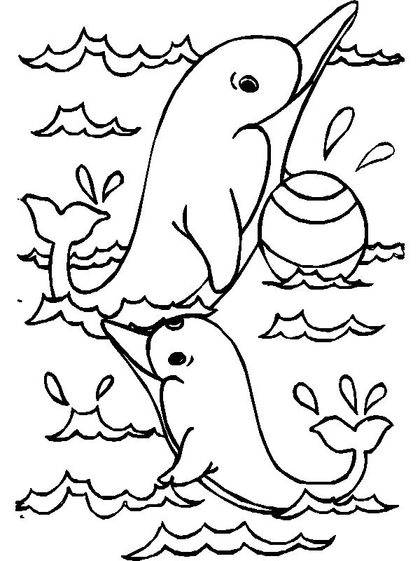 Coloring page: Dolphin (Animals) #5150 - Free Printable Coloring Pages