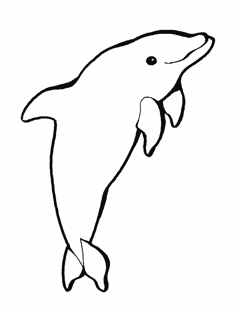 Coloring page: Dolphin (Animals) #5151 - Free Printable Coloring Pages