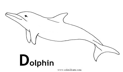 Coloring page: Dolphin (Animals) #5157 - Free Printable Coloring Pages