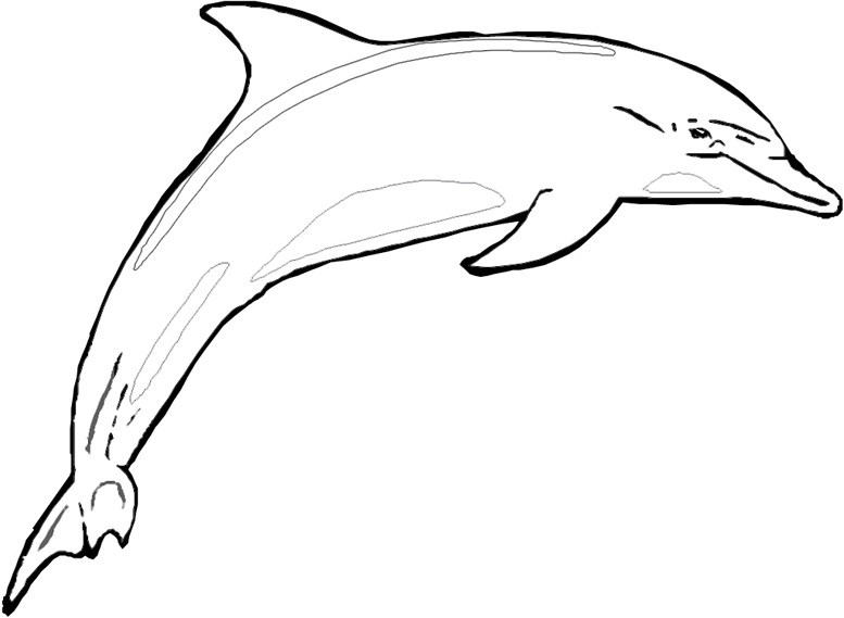 Coloring page: Dolphin (Animals) #5159 - Free Printable Coloring Pages