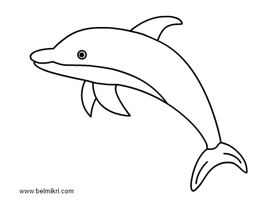 Coloring page: Dolphin (Animals) #5162 - Free Printable Coloring Pages