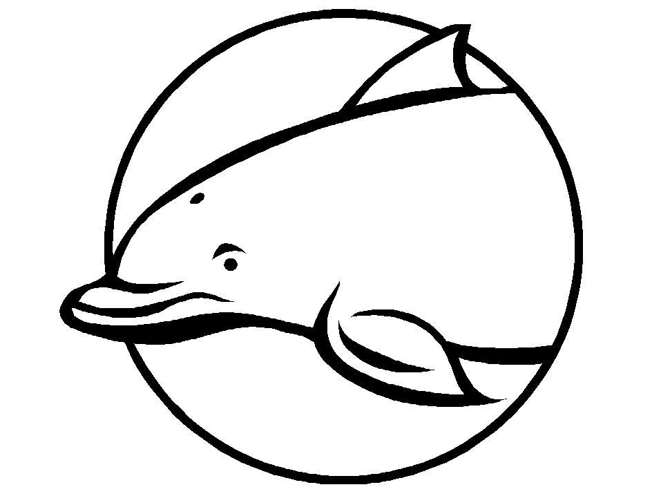 Coloring page: Dolphin (Animals) #5185 - Free Printable Coloring Pages