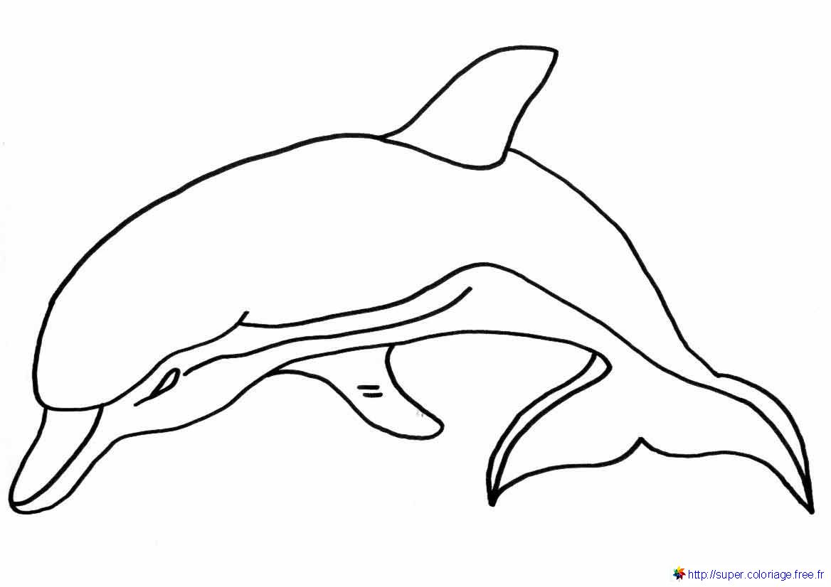 Coloring page: Dolphin (Animals) #5186 - Free Printable Coloring Pages