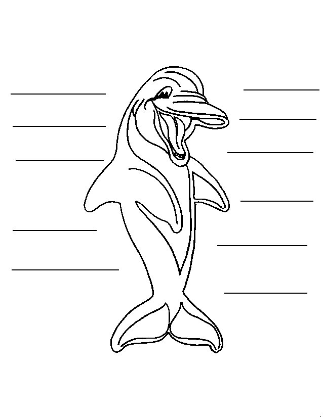 Coloring page: Dolphin (Animals) #5192 - Free Printable Coloring Pages