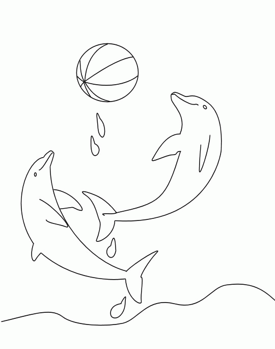 Coloring page: Dolphin (Animals) #5201 - Free Printable Coloring Pages