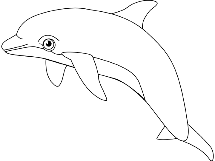 Coloring page: Dolphin (Animals) #5206 - Free Printable Coloring Pages