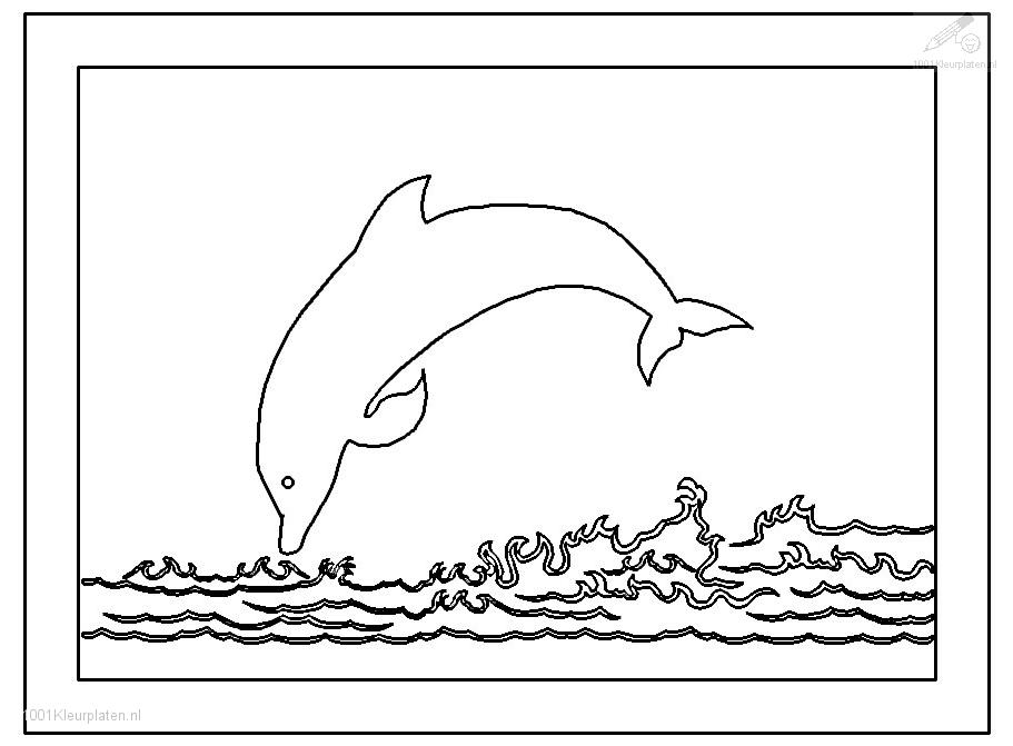 Coloring page: Dolphin (Animals) #5208 - Free Printable Coloring Pages