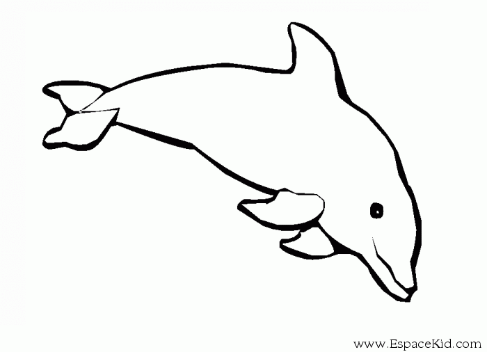 Coloring page: Dolphin (Animals) #5209 - Free Printable Coloring Pages