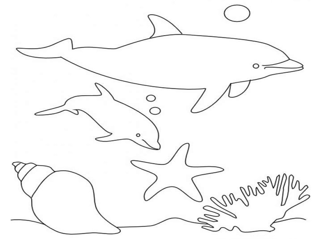 Coloring page: Dolphin (Animals) #5219 - Free Printable Coloring Pages