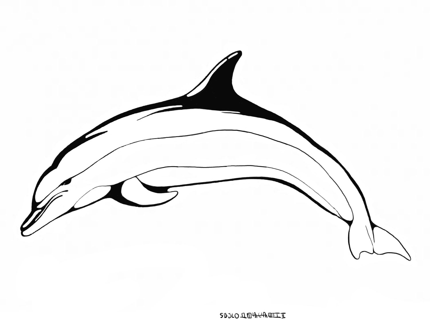 Coloring page: Dolphin (Animals) #5220 - Free Printable Coloring Pages