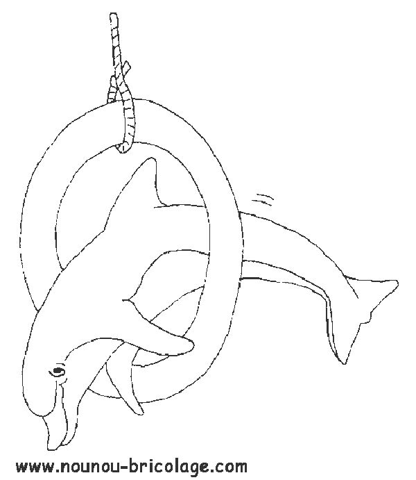 Coloring page: Dolphin (Animals) #5233 - Free Printable Coloring Pages