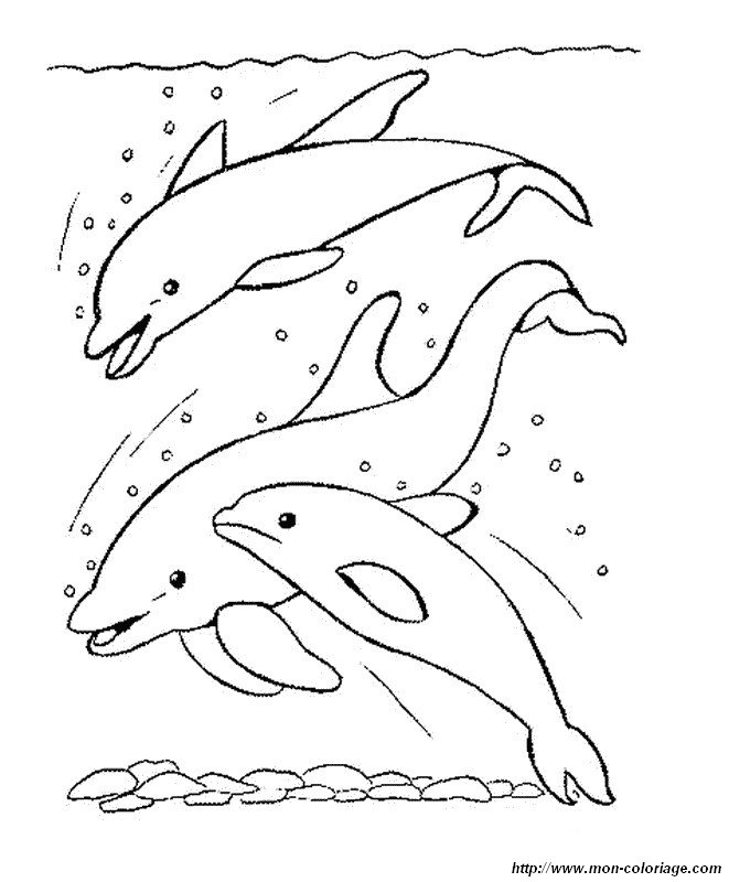 Coloring page: Dolphin (Animals) #5251 - Free Printable Coloring Pages
