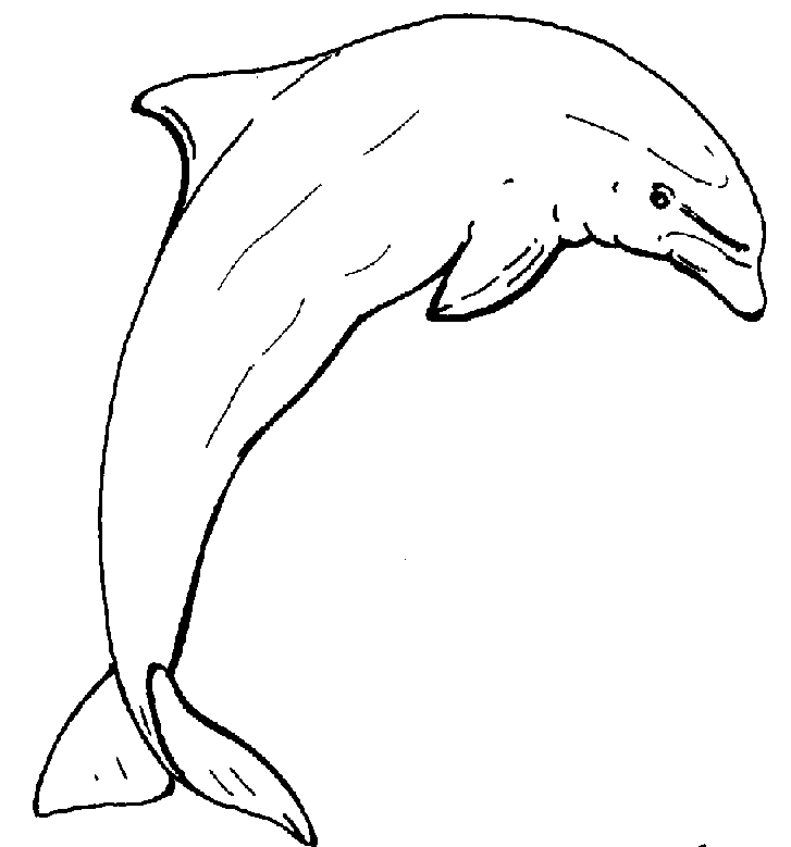 Coloring page: Dolphin (Animals) #5272 - Free Printable Coloring Pages