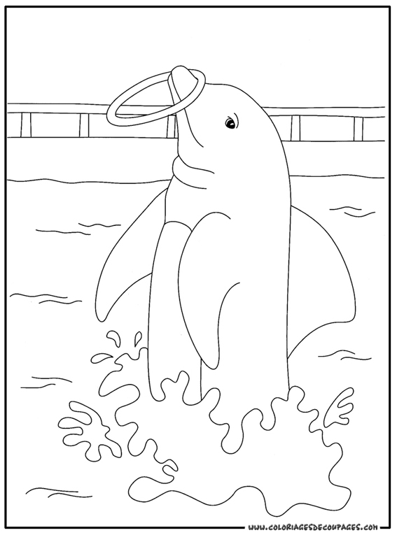 Coloring page: Dolphin (Animals) #5281 - Free Printable Coloring Pages