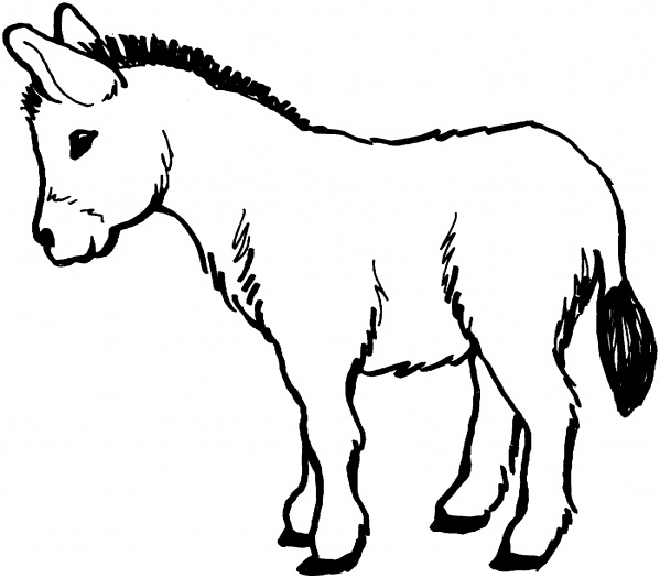 Coloring page: Donkey (Animals) #475 - Free Printable Coloring Pages