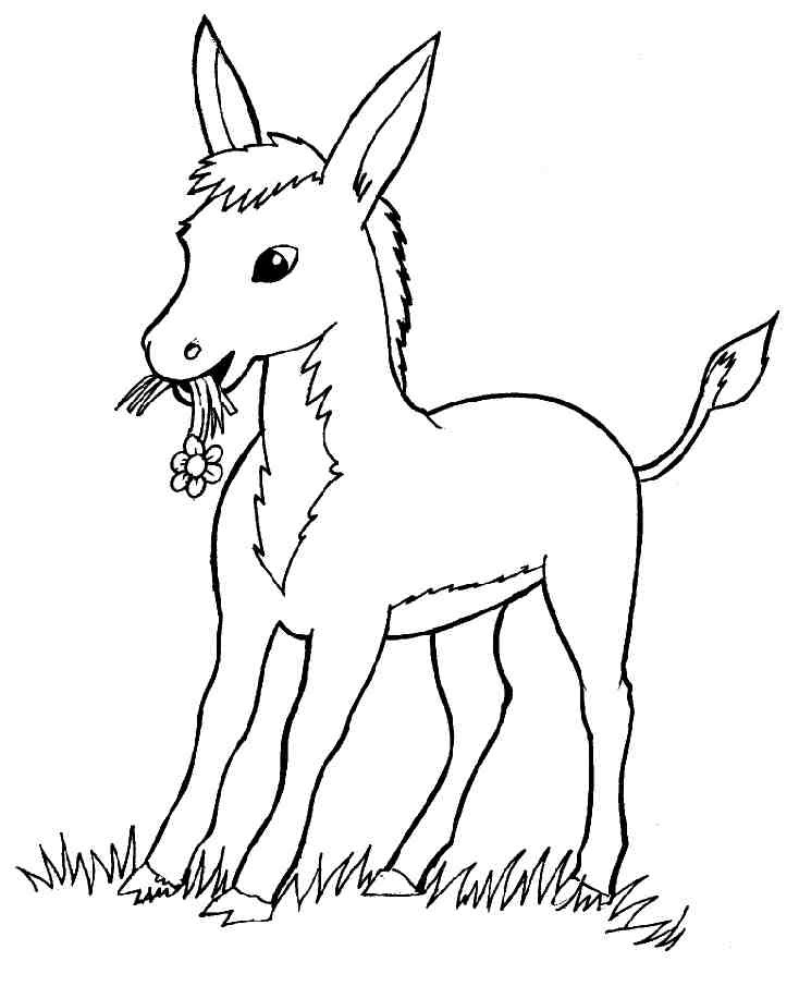Coloring page: Donkey (Animals) #478 - Free Printable Coloring Pages