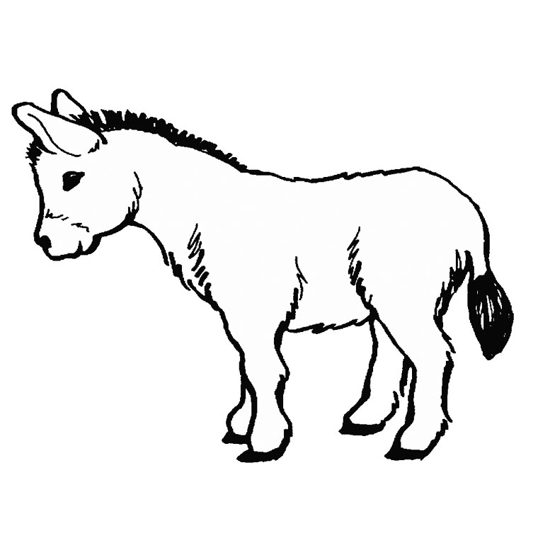 Drawings Donkey (Animals) – Printable coloring pages.