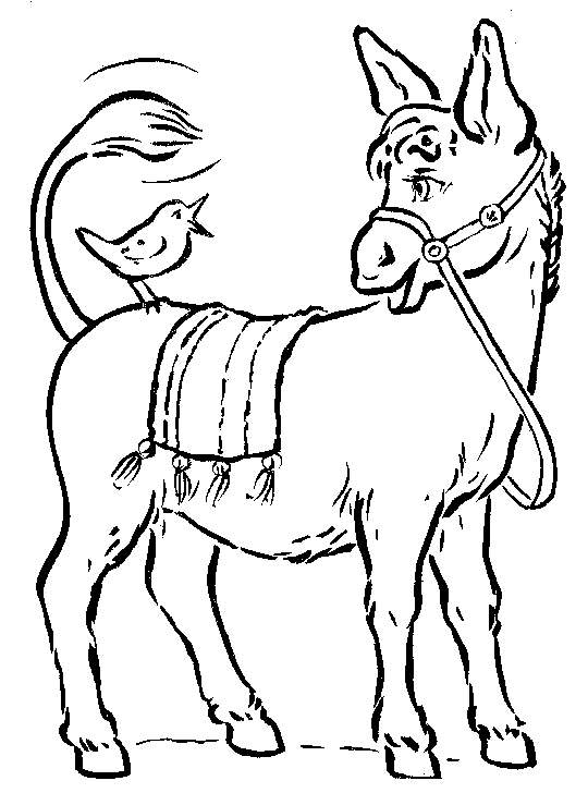 Coloring page: Donkey (Animals) #509 - Free Printable Coloring Pages
