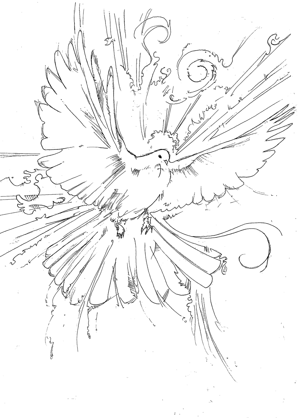 Coloring page: Dove (Animals) #3891 - Free Printable Coloring Pages
