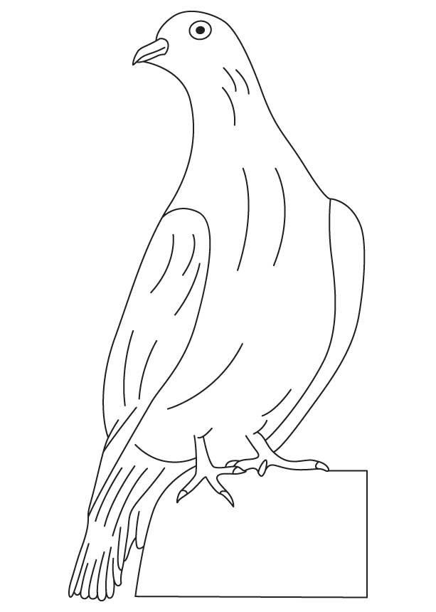 Coloring page: Dove (Animals) #3929 - Free Printable Coloring Pages