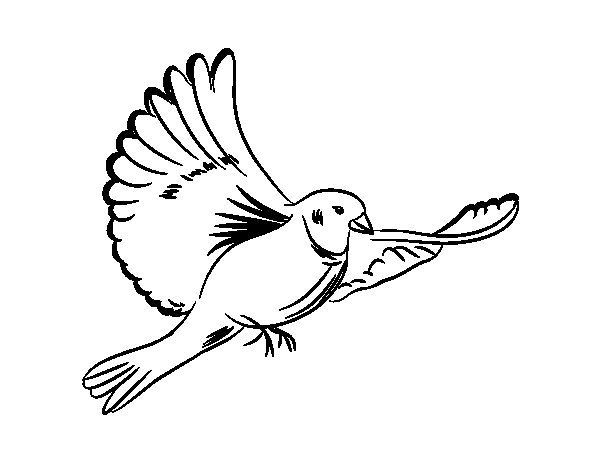 Coloring page: Dove (Animals) #3971 - Free Printable Coloring Pages