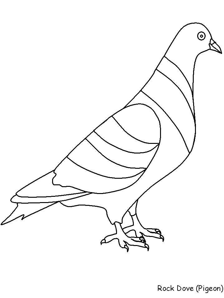 Coloring page: Dove (Animals) #3983 - Free Printable Coloring Pages