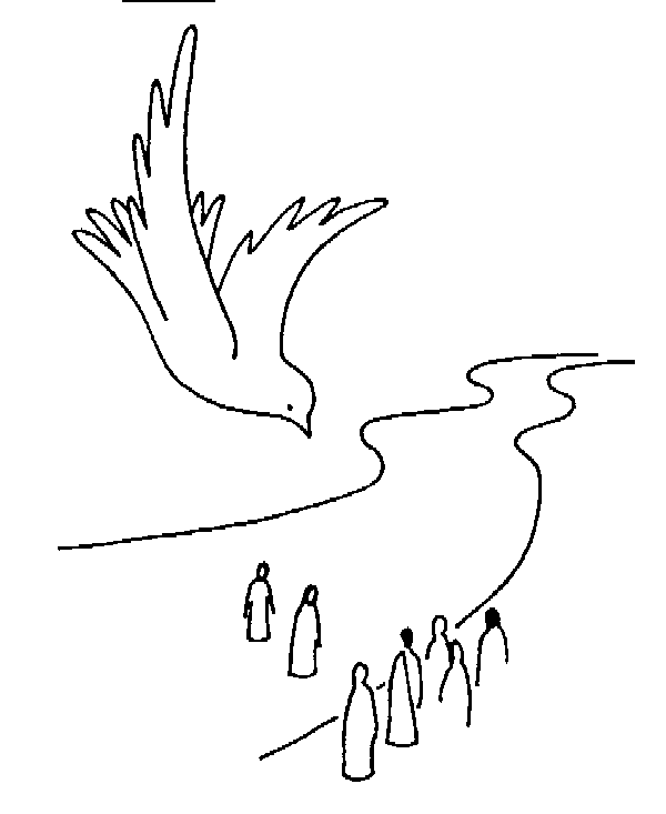 Coloring page: Dove (Animals) #3987 - Free Printable Coloring Pages