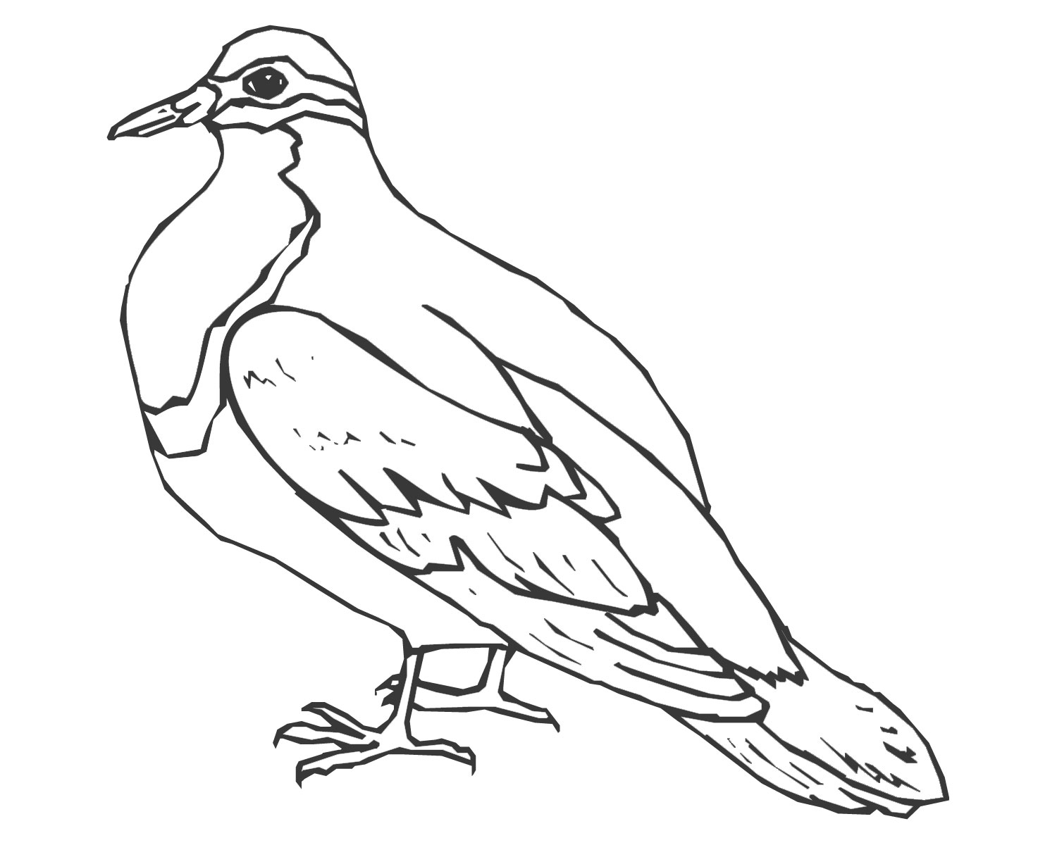 Coloring page: Dove (Animals) #3999 - Free Printable Coloring Pages