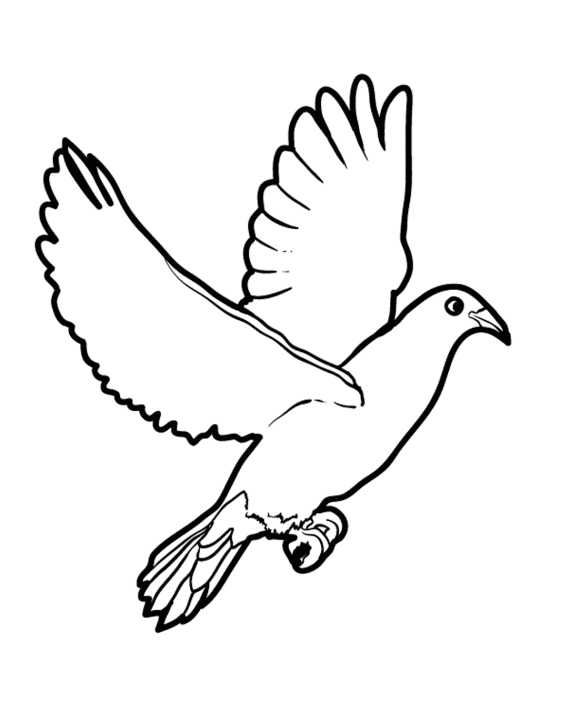 Coloring page: Dove (Animals) #4011 - Free Printable Coloring Pages