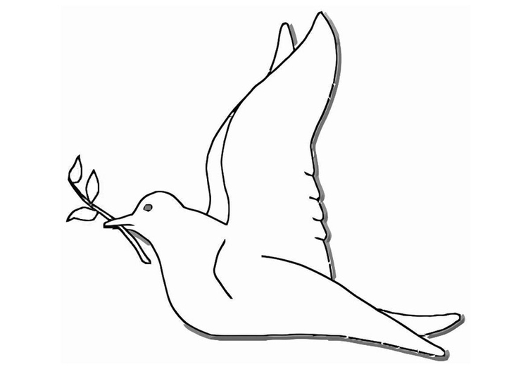 Coloring page: Dove (Animals) #4024 - Free Printable Coloring Pages