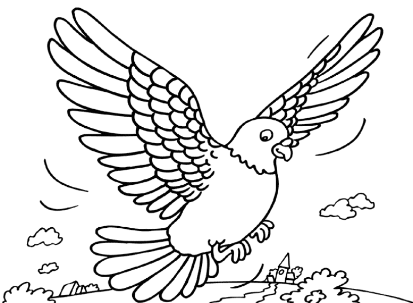 Coloring page: Dove (Animals) #4026 - Free Printable Coloring Pages