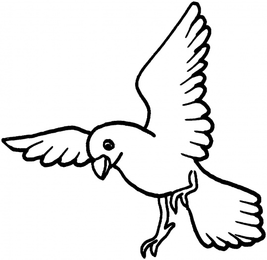 Coloring page: Dove (Animals) #4031 - Free Printable Coloring Pages