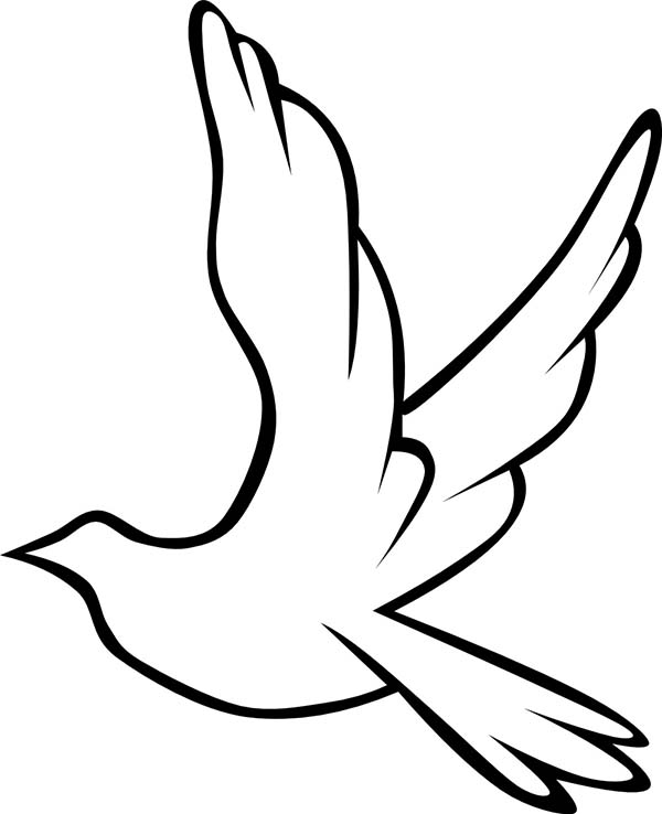 Coloring page Dove #4046 (Animals) – Printable Coloring Pages
