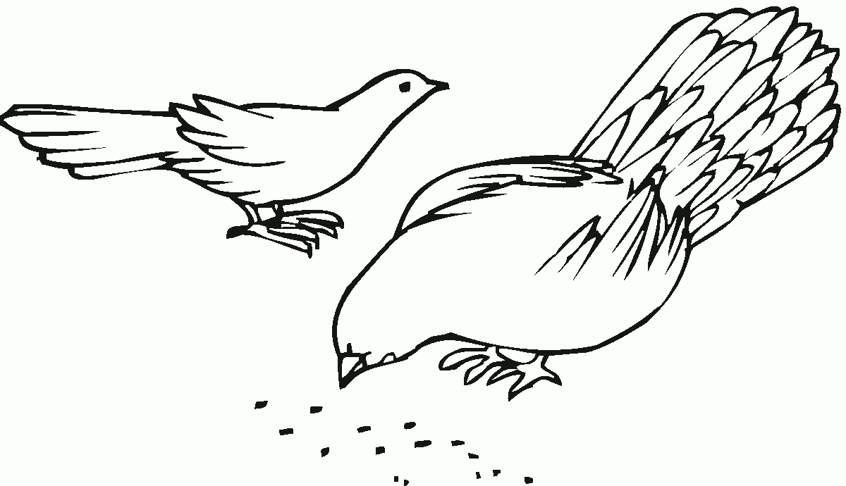 Coloring page: Dove (Animals) #4050 - Free Printable Coloring Pages
