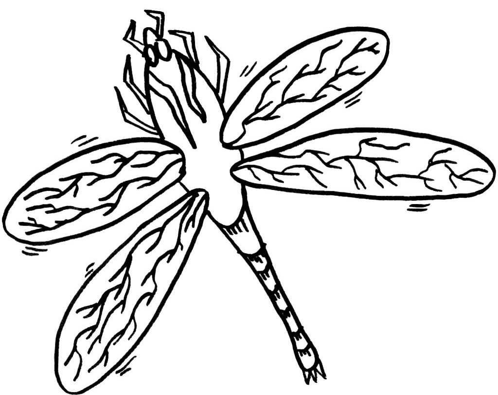 Coloring page: Dragonfly (Animals) #10005 - Free Printable Coloring Pages