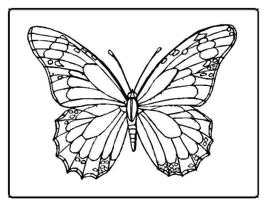 Coloring page: Dragonfly (Animals) #10016 - Free Printable Coloring Pages