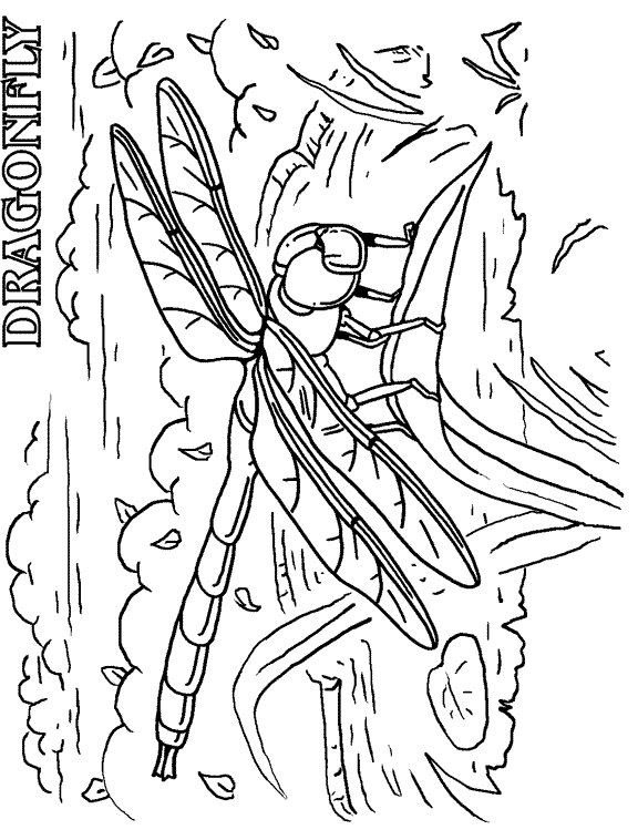 Coloring page: Dragonfly (Animals) #10037 - Free Printable Coloring Pages