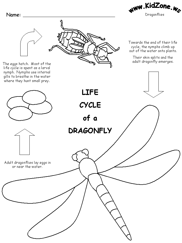 Coloring page: Dragonfly (Animals) #10052 - Free Printable Coloring Pages