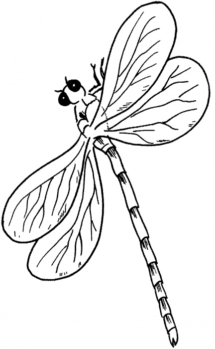 Coloring page: Dragonfly (Animals) #10061 - Free Printable Coloring Pages