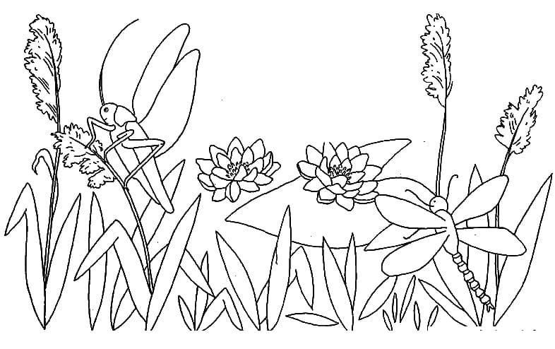 Free printable Dragonfly coloring page #196526 from Animals collection