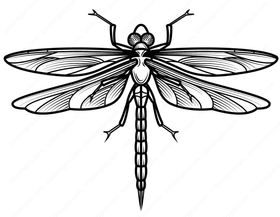 Free printable Dragonfly coloring page #196557 from Animals collection