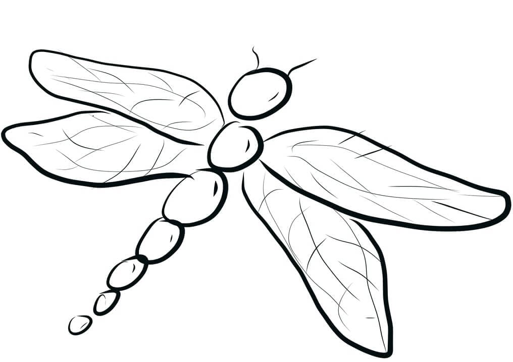 Free printable Dragonfly coloring page #196564 from Animals collection